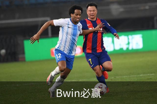 Bwin必赢公司简介